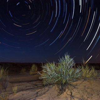Star trails